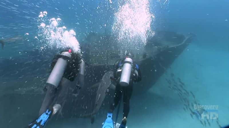 纪录片《鲨鱼疯狂进食 Shark Feeding Frenzy》[无字][BT][720P]资源下载