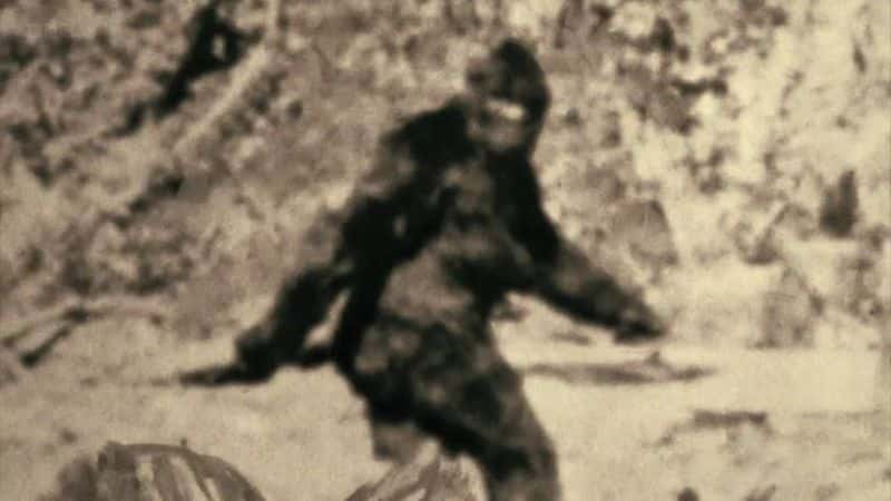 纪录片《射击大脚怪：美国的怪物猎人 Shooting Bigfoot: America's Monster Hunters》[无字][BT][720P]资源下载