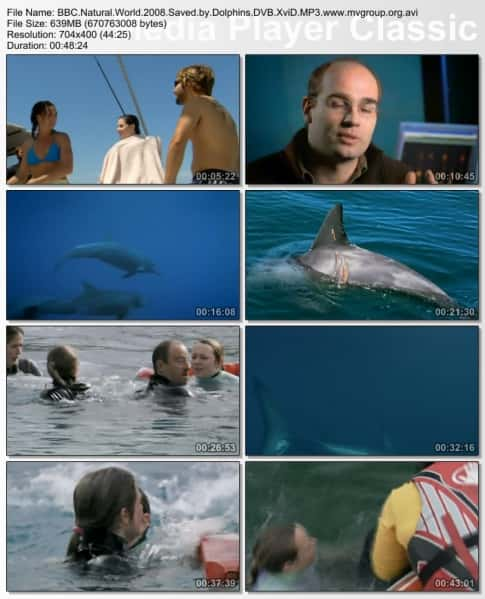 纪录片《被海豚拯救 Saved by Dolphins》[无字][BT][720P]资源下载