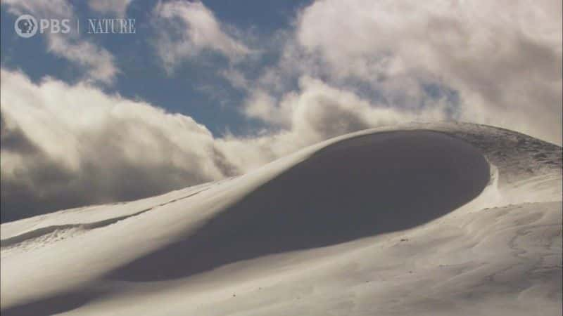 纪录片《景点与声音：黄石公园一小时 Sights and Sounds: An Hour in Yellowstone》[无字][BT][1080P]资源下载