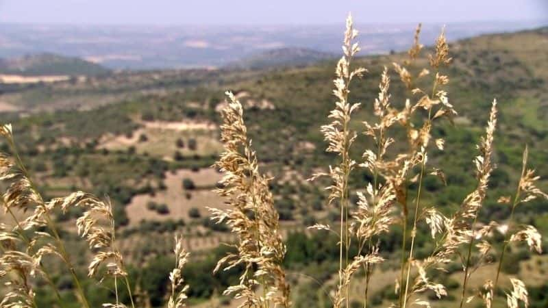 ¼Ƭ⿪ﵺ (BBC) Sicily Unpacked (BBC)ȫ3-Ļ/Ļ