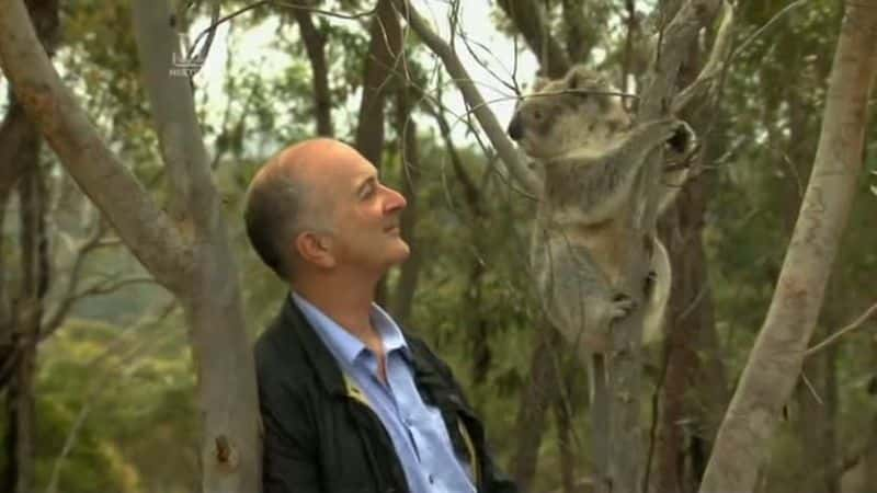 纪录片《托尼·罗宾逊 澳大利亚 Tony Robinson Down Under》[无字][BT][1080P]资源下载