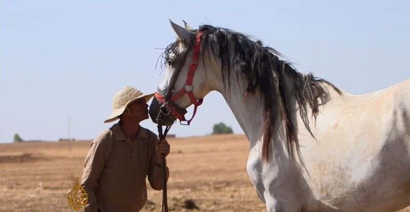 ¼Ƭҵ Horses of Misfortuneȫ1-Ļ/Ļ