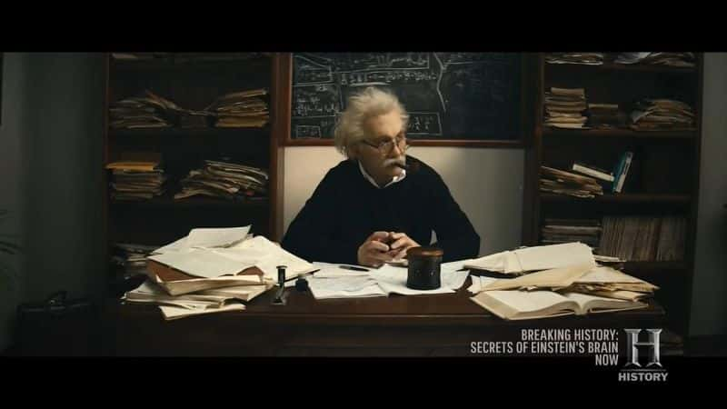 ¼Ƭ˹̹Ե Secrets of Einstein's BrainĻ/Ļ