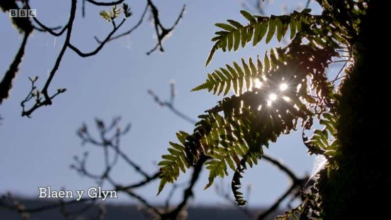 纪录片《Springwatch 红色按钮 2021 Springwatch Red Button 2021》[无字][BT][DVD]资源下载