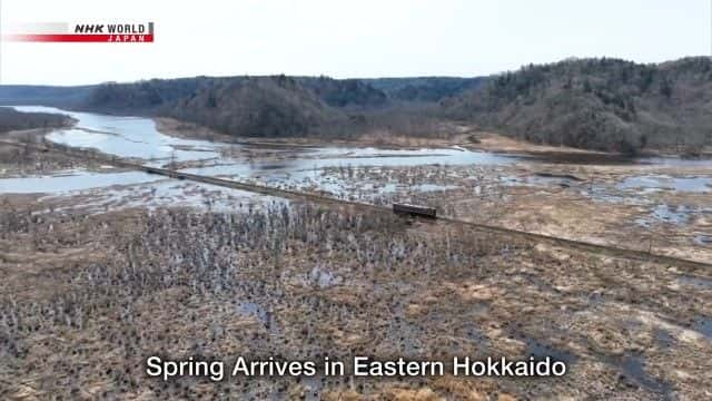 纪录片《北海道东部迎来春天 Spring Arrives in Eastern Hokkaido》[无字][BT][720P]资源下载