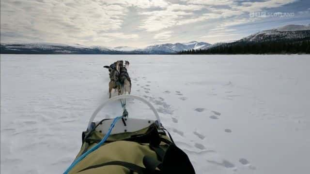 纪录片《雪狗：走进野外 Snow Dogs: Into the Wild》[无字][BT][1080P]资源下载