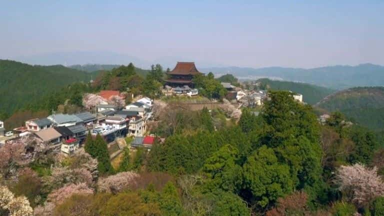 ¼ƬձSpringwatch Springwatch in Japan1080P-Ļ/Ļ