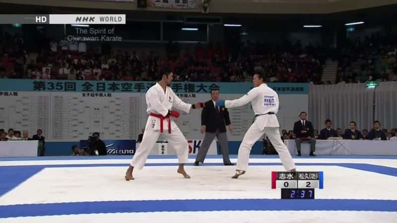 纪录片《T恤：冲绳空手道精神 Tee: The Spirit of Okinawan Karate》[无字][BT][1080P]资源下载