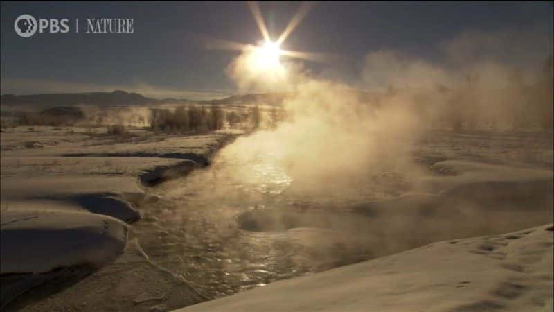 纪录片《景点与声音：黄石公园一小时 Sights and Sounds: An Hour in Yellowstone》[无字][BT][1080P]资源下载