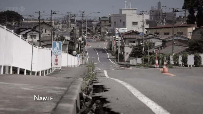 纪录片《海啸求生：我的原子阿姨 Surviving the Tsunami: My Atomic Aunt》[无字][BT][1080P]资源下载