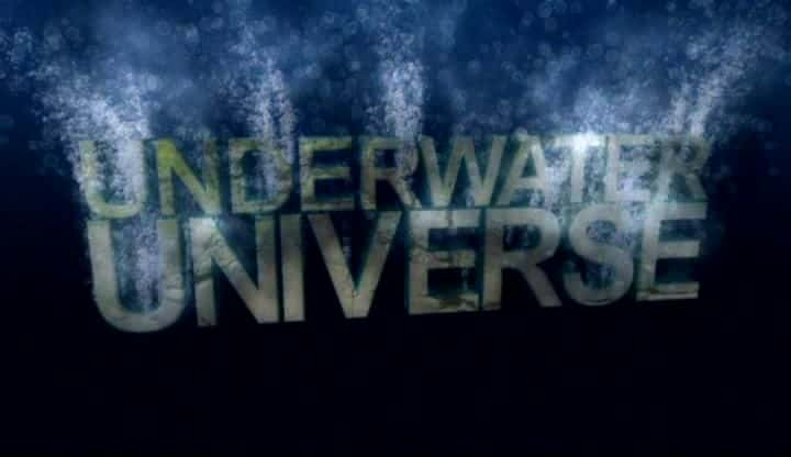 纪录片《水下宇宙特辑 Underwater Universe Special》[无字][BT][720P]资源下载