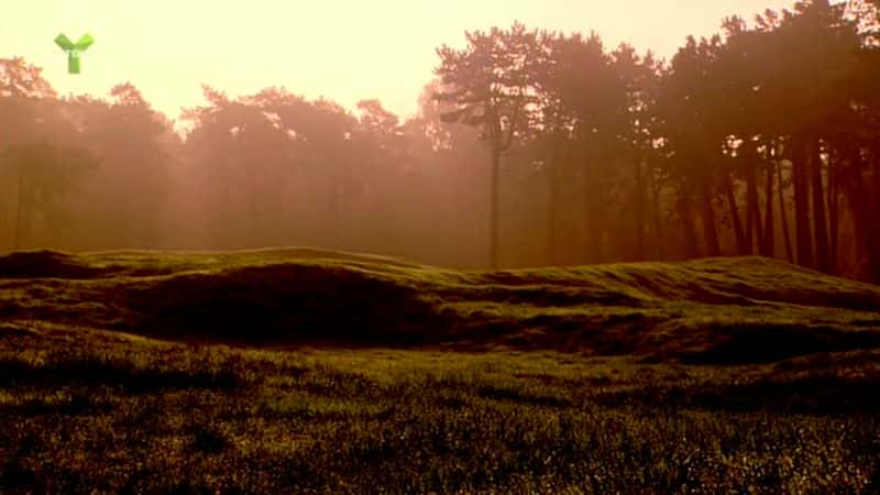 纪录片《维米岭：从天堂到地狱 Vimy Ridge: Heaven to Hell》[无字][BT][1080P]资源下载