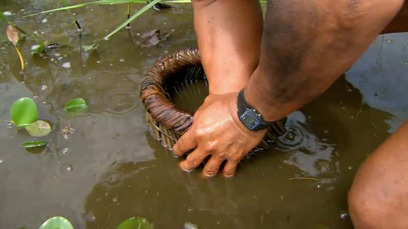 纪录片《亚马逊的眼泪 Tears of the Amazon》[无字][BT][DVD]资源下载