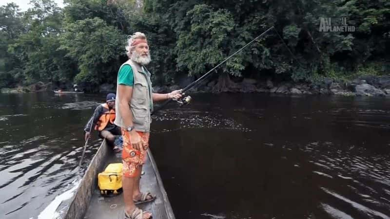 纪录片《虎鱼：非洲的食人鱼 Tigerfish: Africa's Piranha》[无字][BT][720P]资源下载