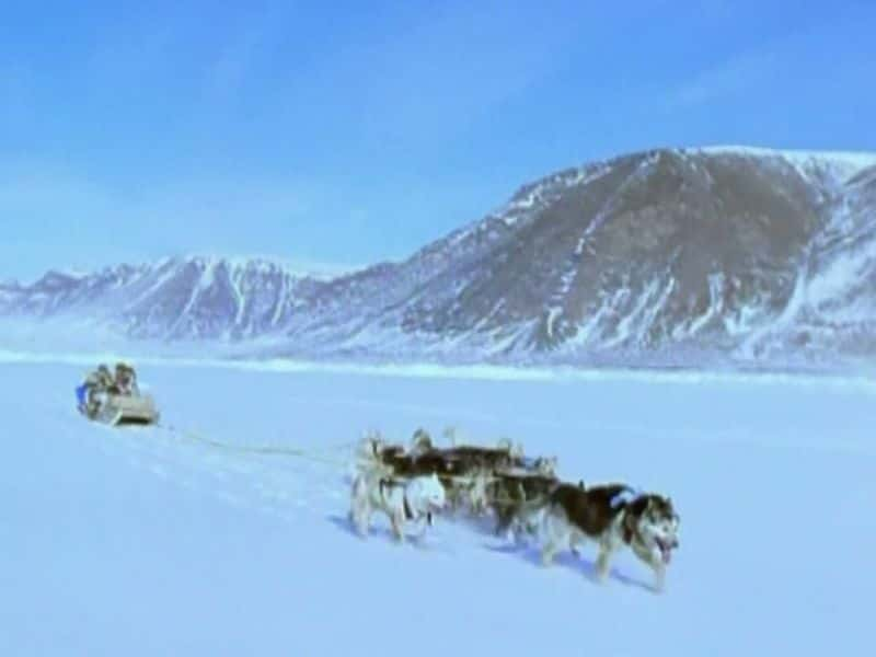 ¼Ƭո A Scot in the Arctic720P-Ļ/Ļ