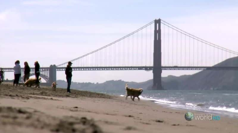 纪录片《旧金山（世界华盛顿特区海滨城市） San Francisco (DC Waterfront Cities of the World)》[无字][BT][720P]资源下载