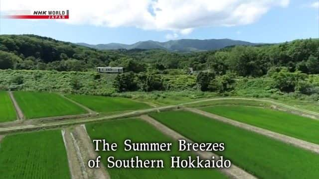 纪录片《北海道南部的夏日微风 The Summer Breezes of Southern Hokkaido 》全1集[旅游][无字幕][720p][MKV][BT][资源下载]