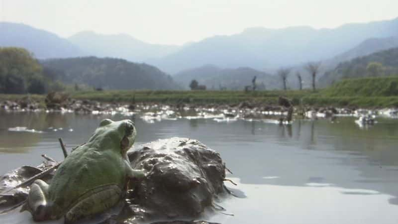 纪录片《里山:日本的秘密花园 Satoyama:Japan's Secret Garden》[无字][BT][720P]资源下载