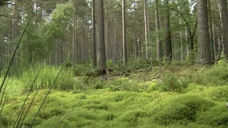 ¼Ƭո Scotland: Coast to Coastȫ1-Ļ/Ļ