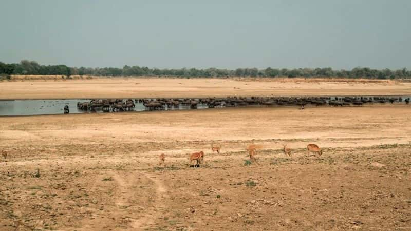 纪录片《赞比亚的故事：系列 2 Tales from Zambia: Series 2》[无字] [BT][DVD画质]资源下载