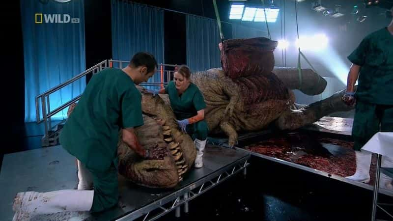 纪录片《霸王龙尸检 T. Rex Autopsy》[无字][BT][720P]资源下载