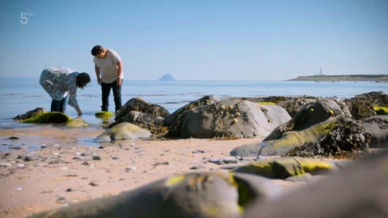 ¼Ƭոð Secret Scotland: Island Adventure1080Pȫ1-Ļ/Ļ