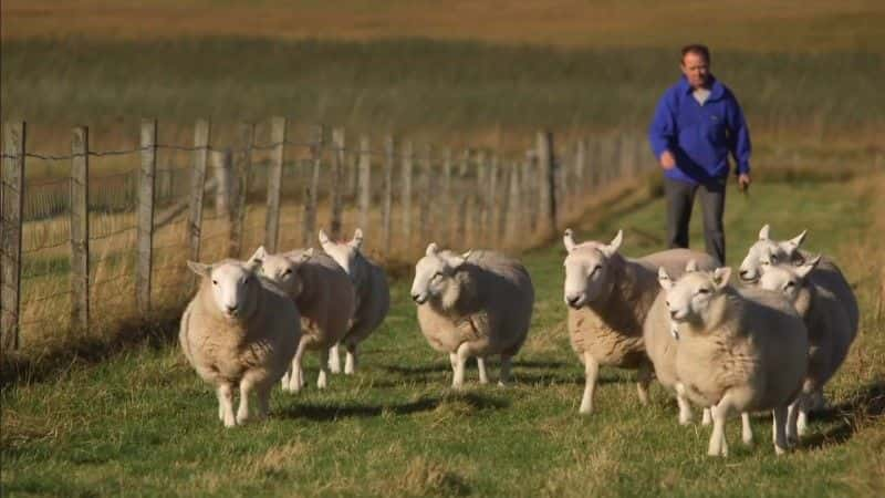 纪录片《苏格兰：应许之地 Scotland: The Promised Land》[无字][BT][720P]资源下载