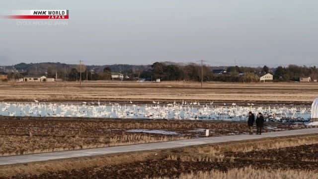 纪录片《东京到千叶：沿途寻找艺术 Tokyo to Chiba: Finding Art Along the Way》[无字][BT][1080P]资源下载