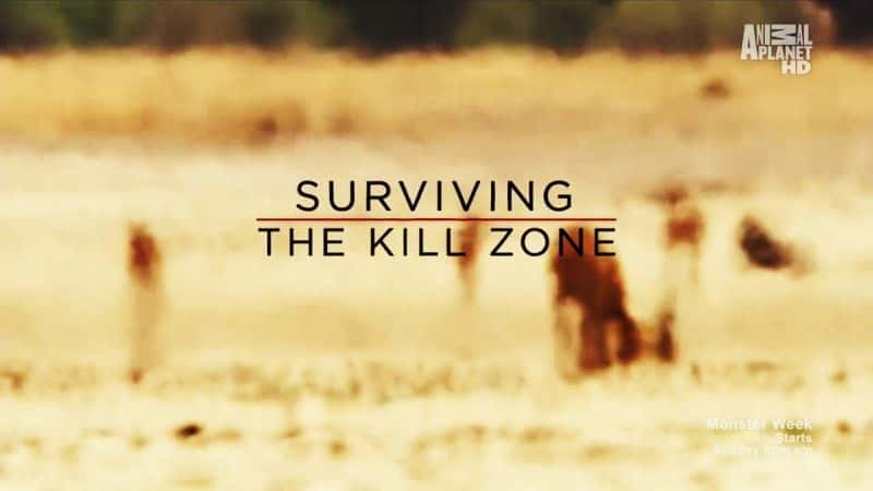 纪录片《在杀戮区生存 Surviving the Kill Zone》[无字][BT][1080P]资源下载