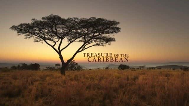 纪录片《加勒比海的宝藏 Treasure of the Caribbean》[无字][BT][1080P]资源下载