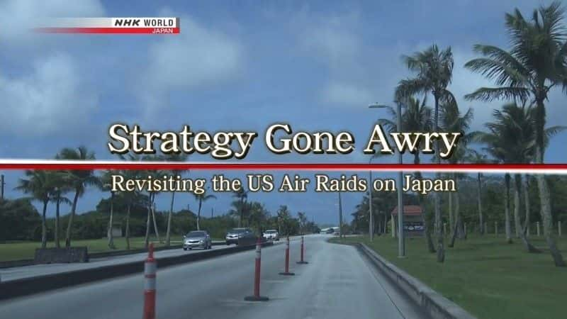 纪录片《策略出了差错 Strategy Gone Awry》[无字][BT][1080P]资源下载