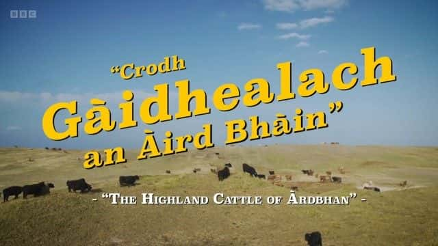 ¼Ƭߵţ The Highland Cattle of Ardbhan1080Pȫ1-Ļ/Ļ