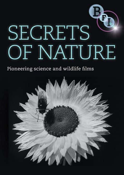 纪录片《自然的秘密 Secrets of Nature》[无字][BT][720P][1080P]双画质资源下载