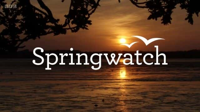 纪录片《Springwatch 红色按钮 2023 Springwatch Red Button 2023》[无字][BT][720P]资源下载