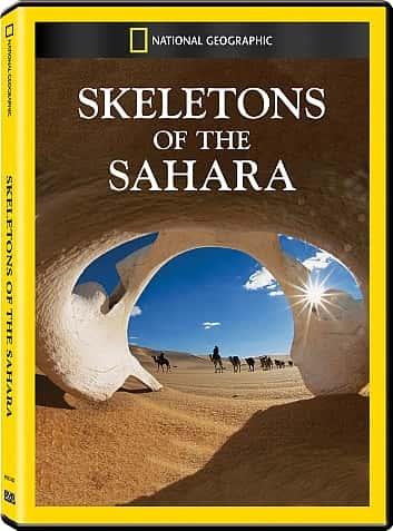 纪录片《撒哈拉沙漠的骷髅 Skeletons of the Sahara》[无字][BT][1080P]资源下载