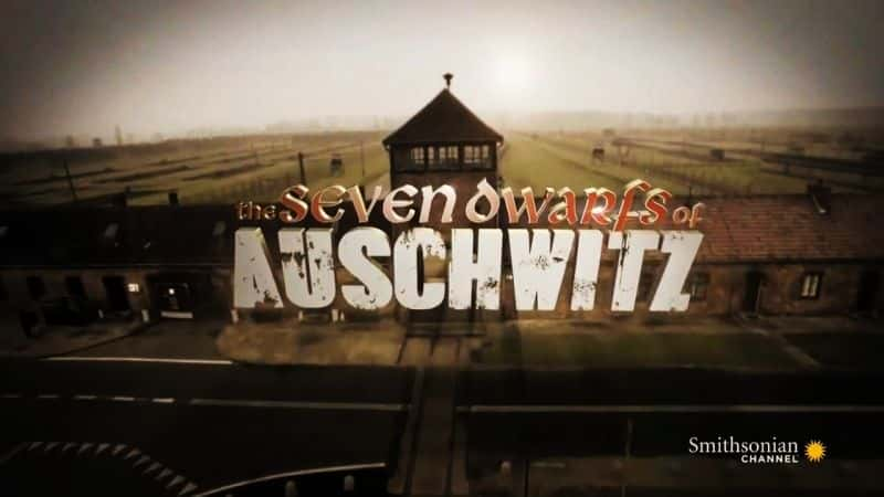 ¼Ƭ˹άӪ߸С (MP4) The Seven Dwarfs of Auschwitz (MP4)ȫ1-Ļ/Ļ