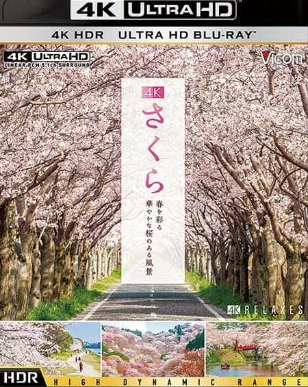 纪录片《樱花 Sakura》[无字][BT][1080P]资源下载