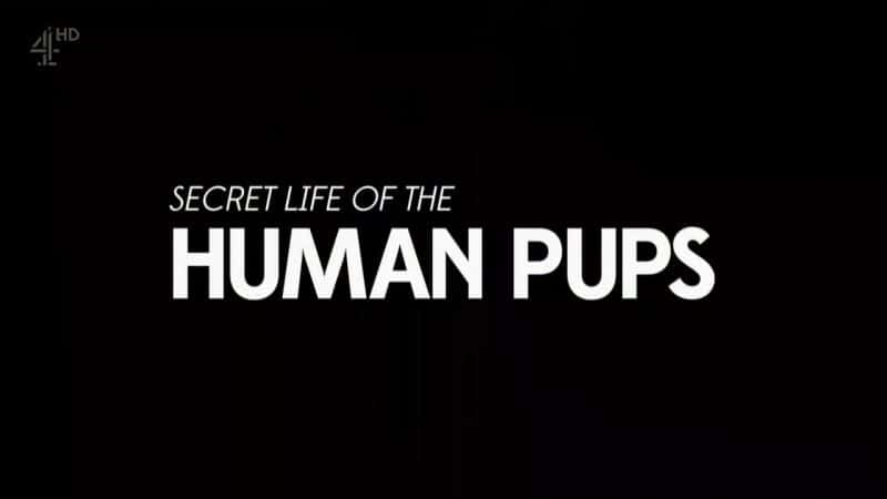 ¼Ƭ̵ Secret Life of the Human PupsĻ/Ļ