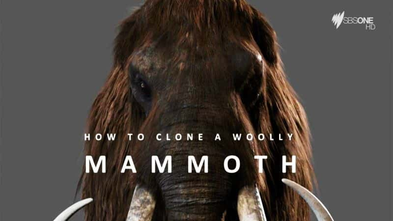 ¼Ƭο¡ How to Clone a Woolly MammothĻ/Ļ