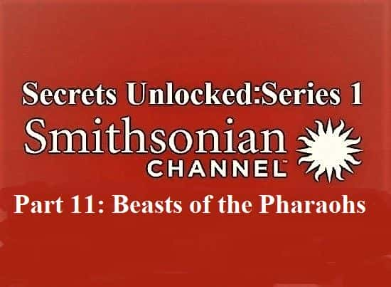 ¼Ƭأϵ 1  11 ֣ϵҰ Secrets Unlocked: Series 1 Part 11: Beasts of the Pharaohs1080P-Ļ/Ļ