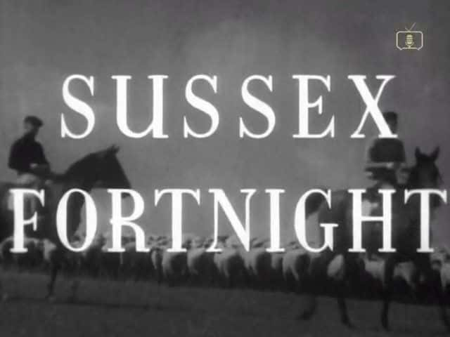 纪录片《苏塞克斯双周 Sussex Fortnight》[无字] [BT][DVD画质]资源下载