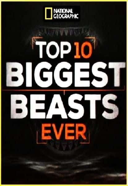 纪录片《有史以来最大的十大野兽 Top 10 Biggest Beasts Ever》[无字][BT][1080P]资源下载