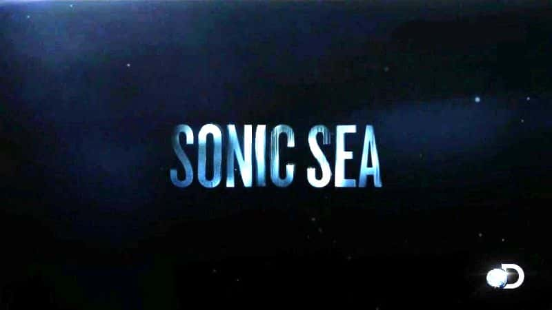 ¼Ƭٺ Sonic SeaĻ/Ļ