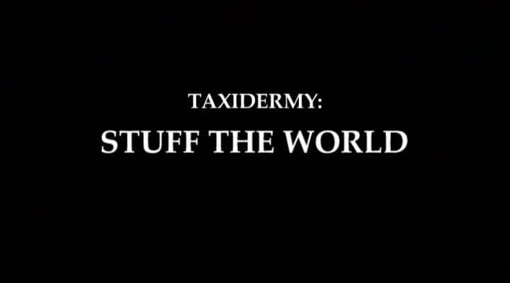 纪录片《动物标本剥制术 - 充满世界 Taxidermy - Stuff the World》[无字][BT][1080P]资源下载