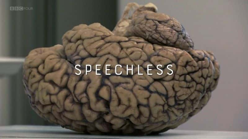 纪录片《无语（BBC） Speechless (BBC)》[无字][BT][720P]资源下载