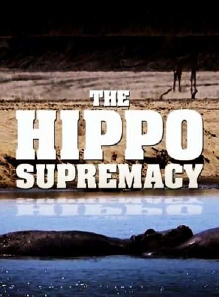 ¼Ƭ The Hippo SupremacyĻ/Ļ