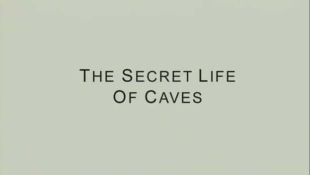 ¼ƬѨ The Secret Life of CavesĻ/Ļ