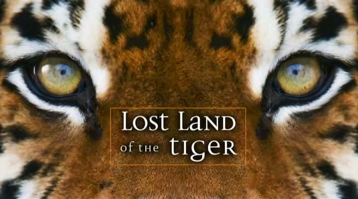 纪录片《老虎失落的土地 Lost Land of the Tiger》[无字][BT][1080P]资源下载