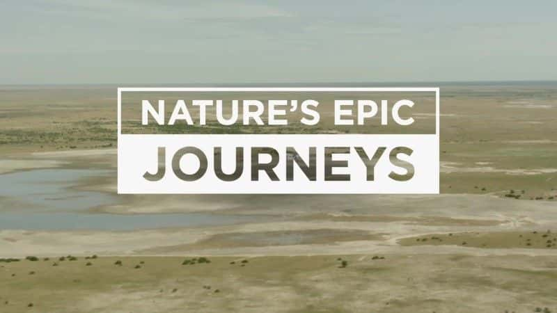 ¼ƬȻʷʫ֮ Nature's Epic Journeys1080Pȫ3-Ļ/Ļ